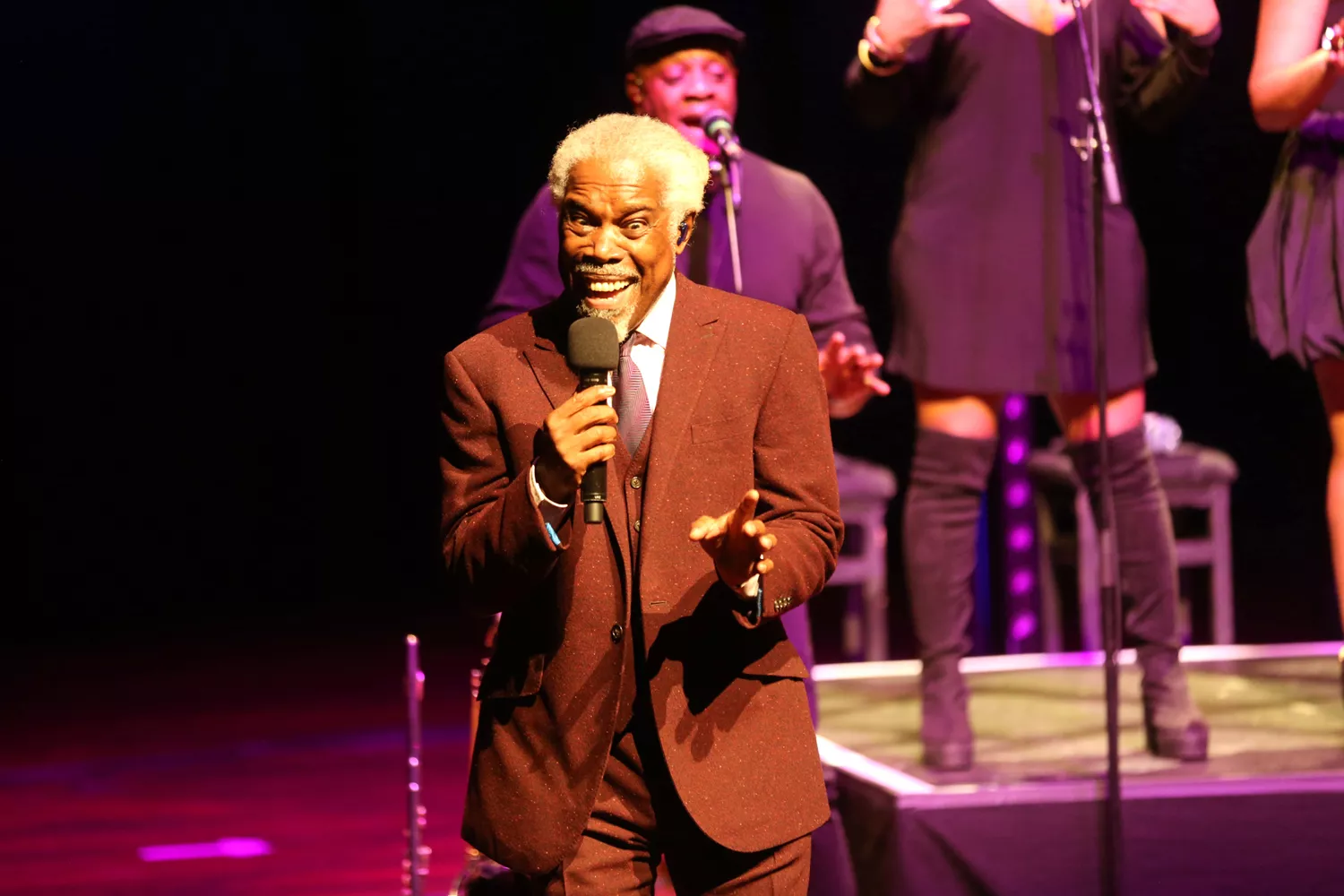 Den vildeste hitparade