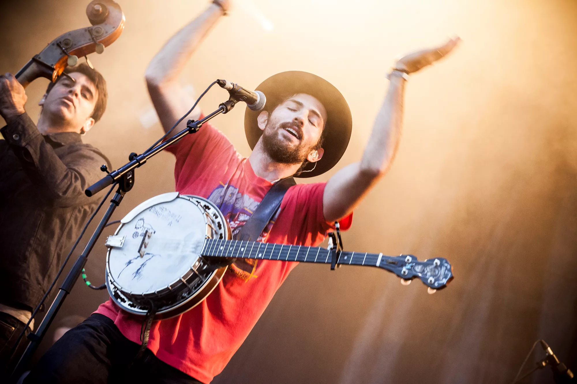 The Avett Brothers: Trykkogeren med americana har kogt længe