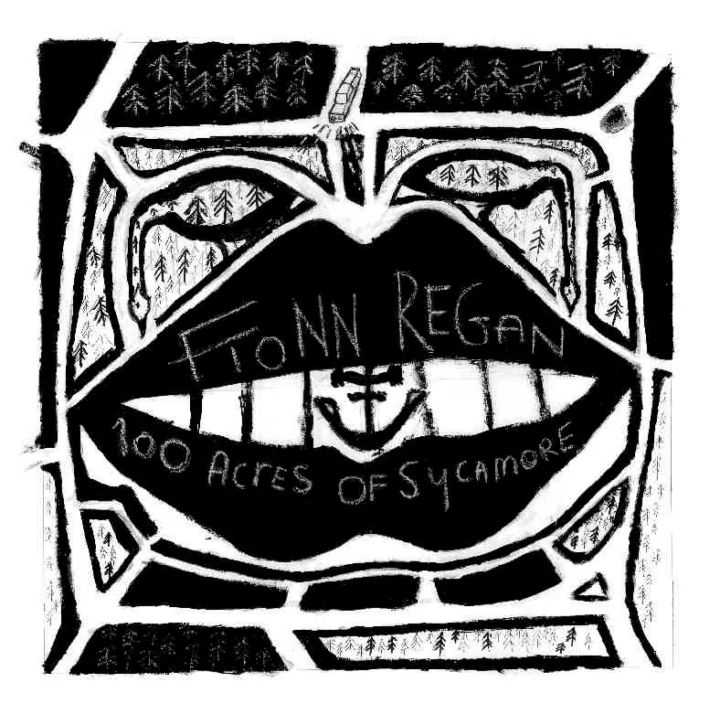 100 Acres of Sycamore - Fionn Regan