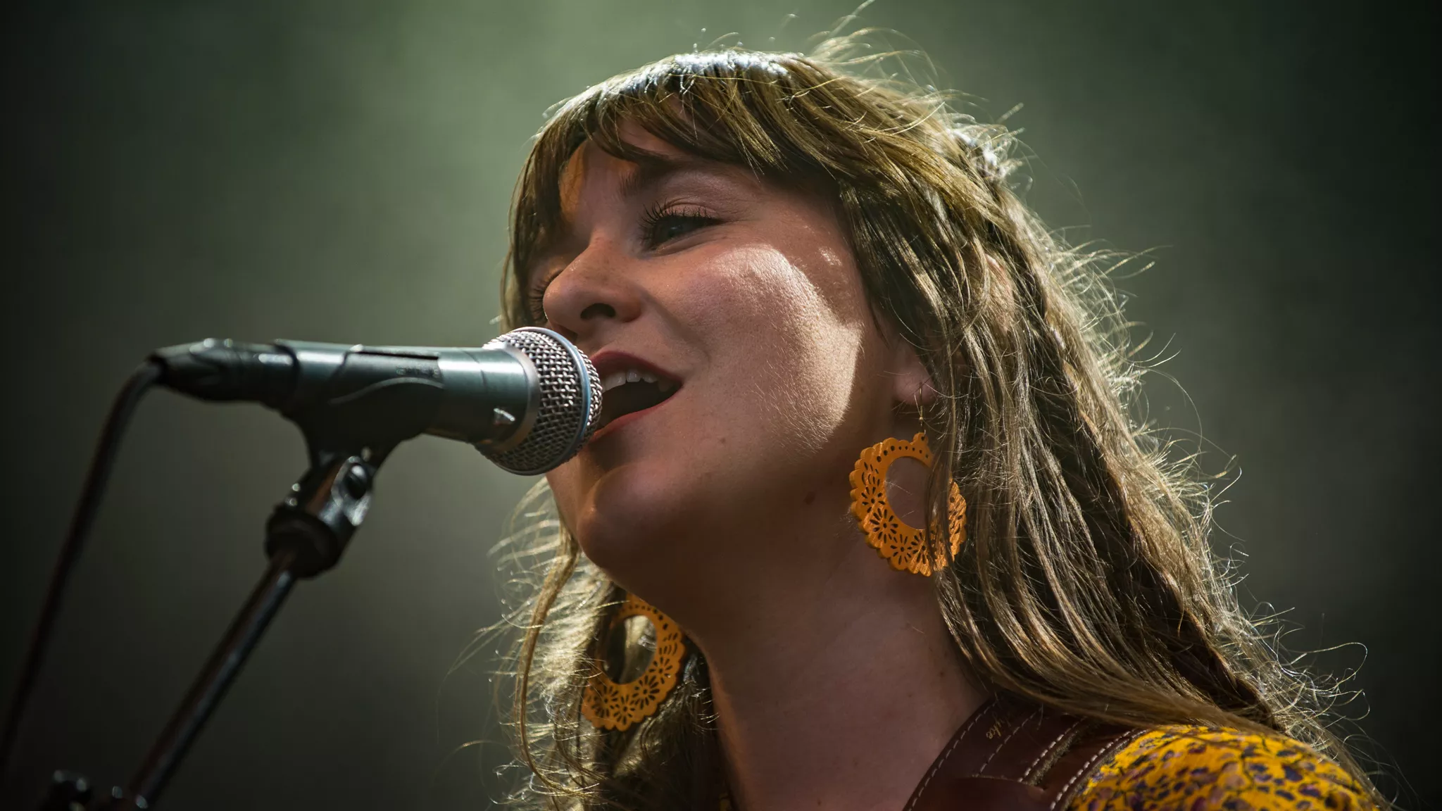 Vederkvægende vokalharmonier og stort potentiale