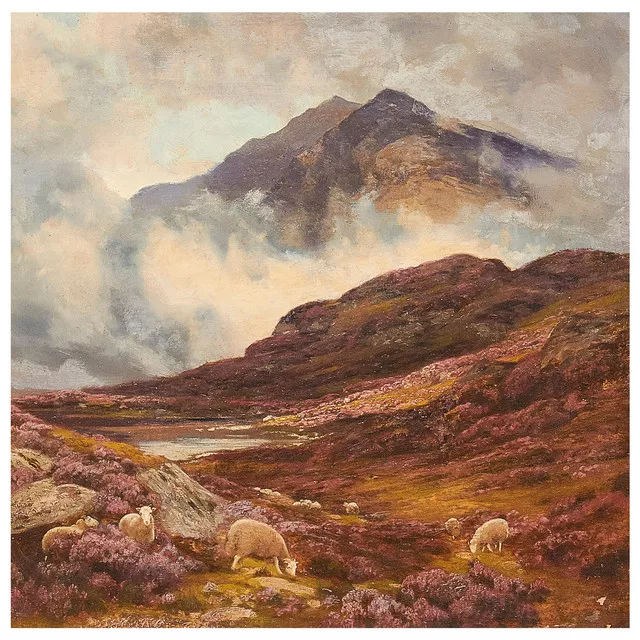 Vilsamt musikaliskt sökande