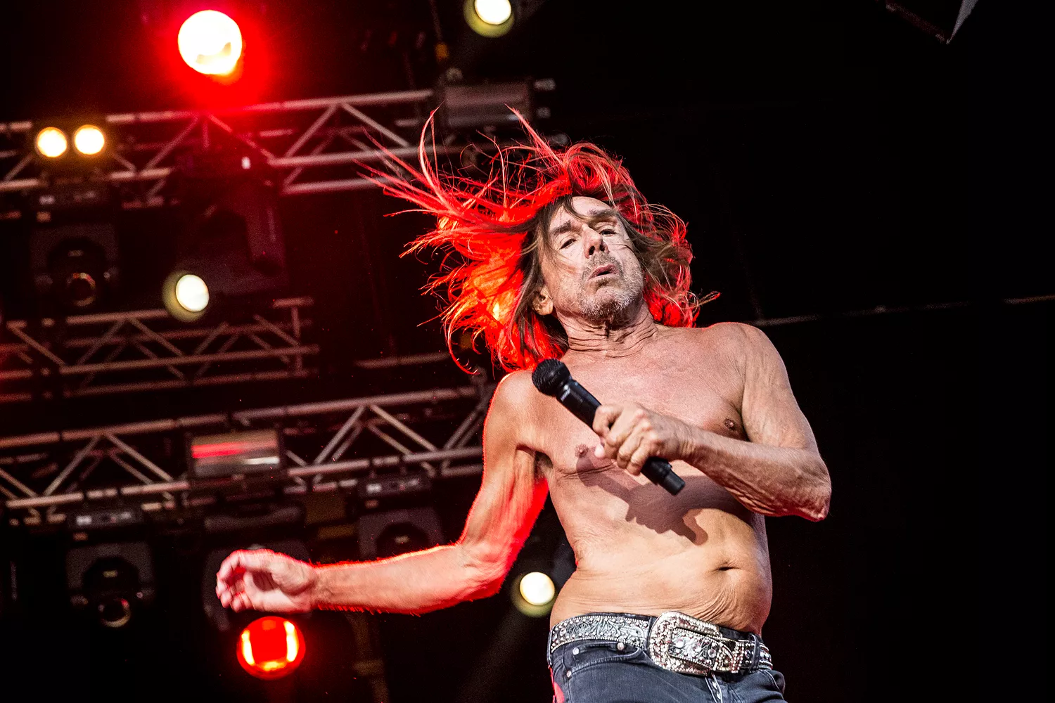 Iggy Pop, Patti Smith, Lykke Li og flere med i ny Terrence Malick-film