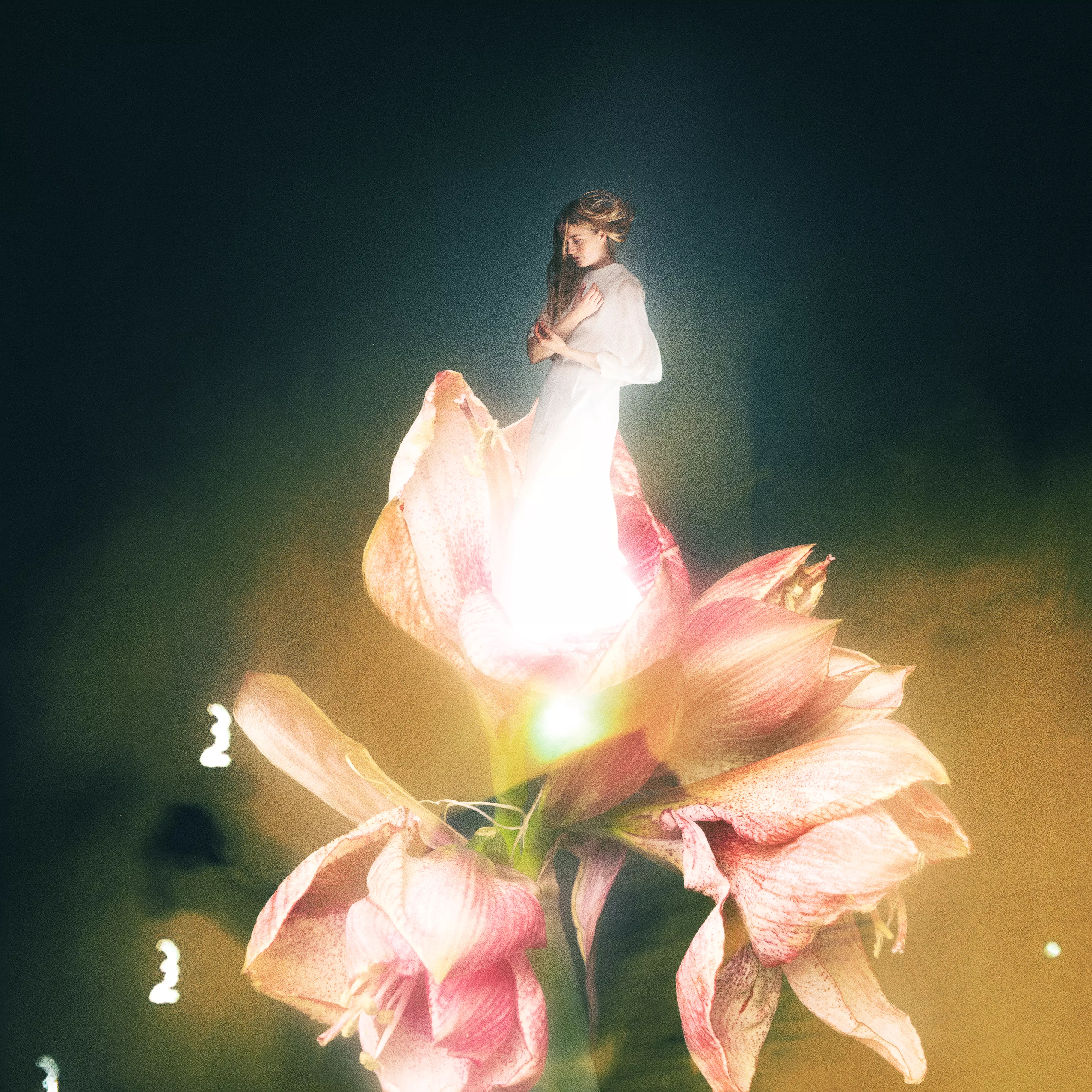 Vi er de evige - Amalie Holt Kleive