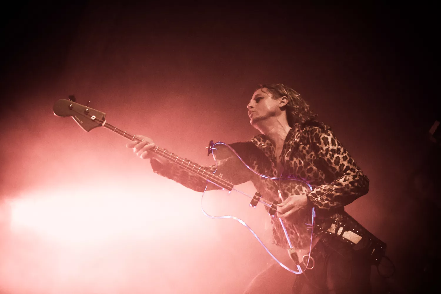 D-A-D 30 år: Langfingrede groupies