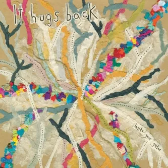 Inside Your Guitar - It Hugs Back
