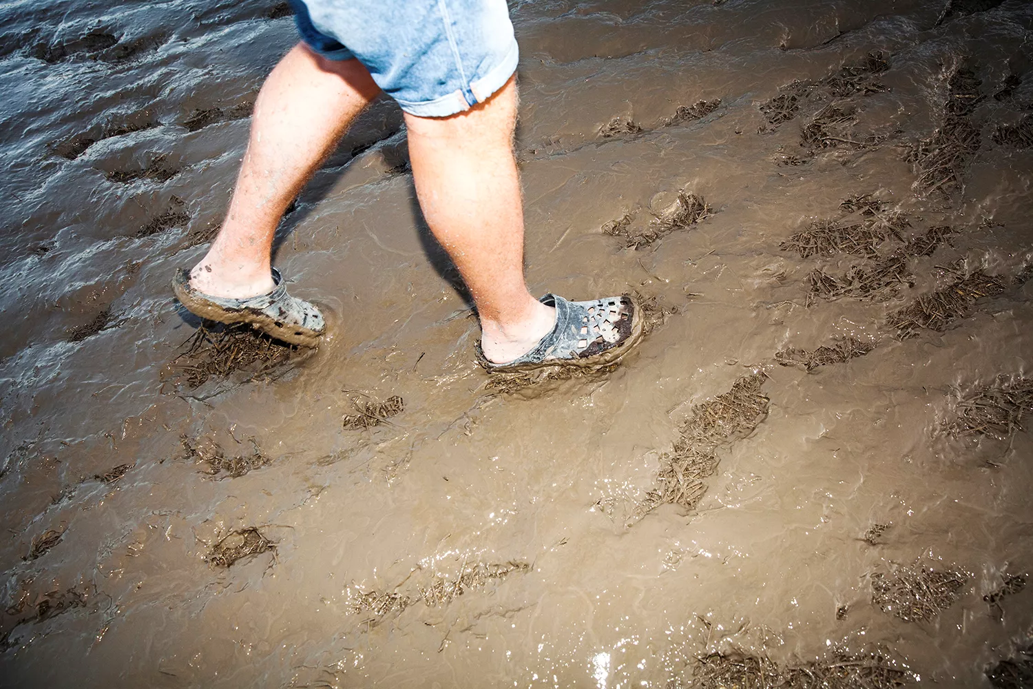 Mudder og magi: Se de flotteste stemningsbilleder fra Roskilde