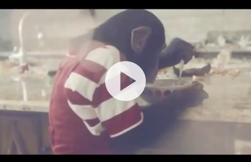 Se Teddybears hylla Michael Jacksons apa