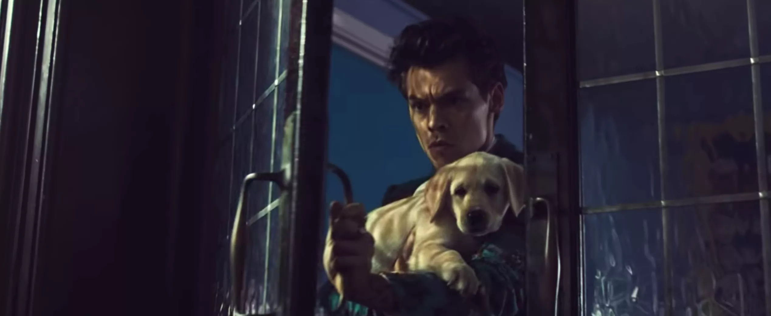 Harry Styles’ store kagedyst