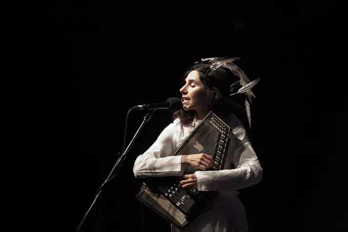 PJ Harvey till Sverige