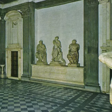 St. Catherine - Ducktails