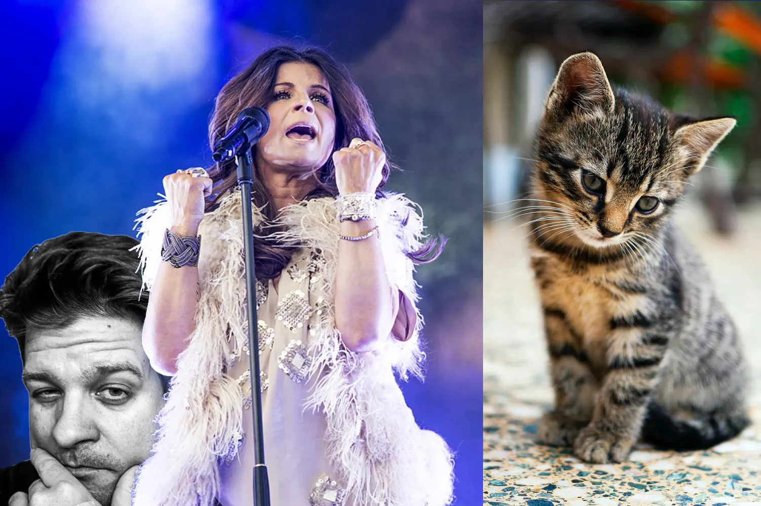 KRÖNIKA: Norsk livscoach sköt ihjäl Carolas katt