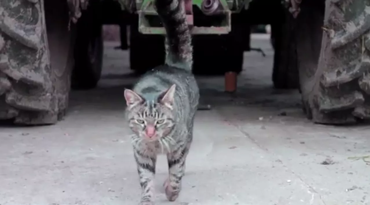 Ny video: Fredag den 13. endte ikke i katastrofe, men Enden Er Nær