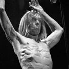 Nyt Iggy Pop-album i april
