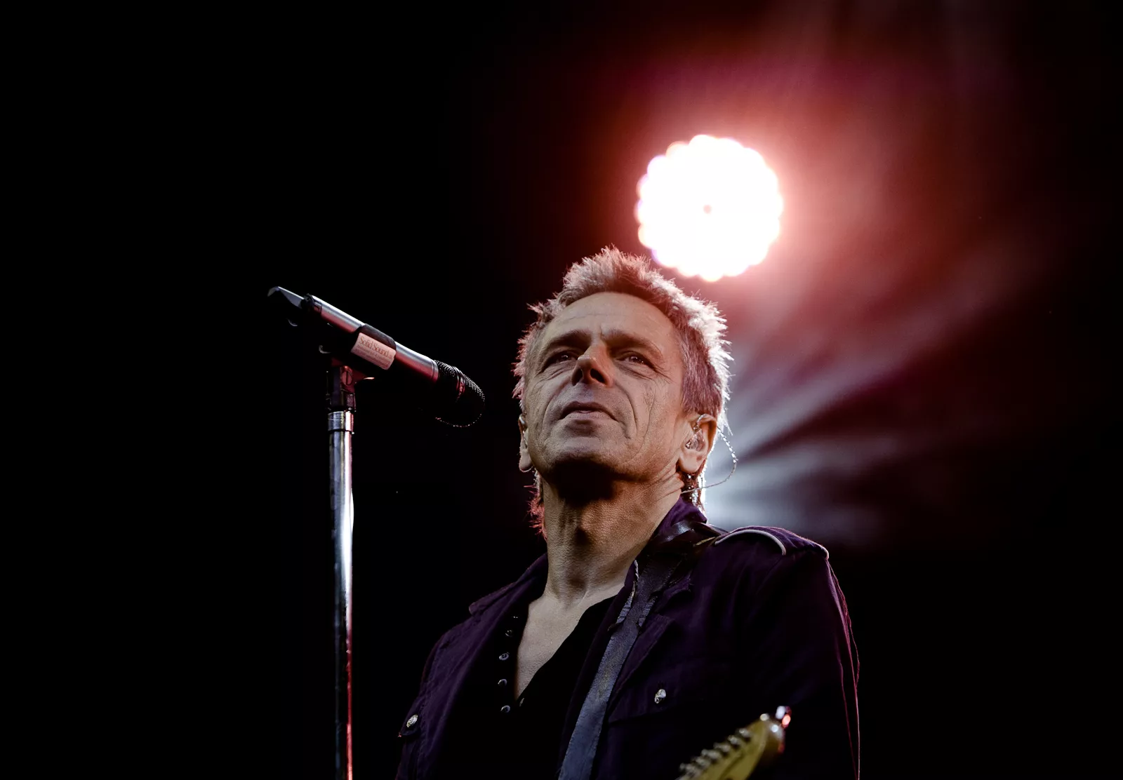 Malurt bliver gendannet