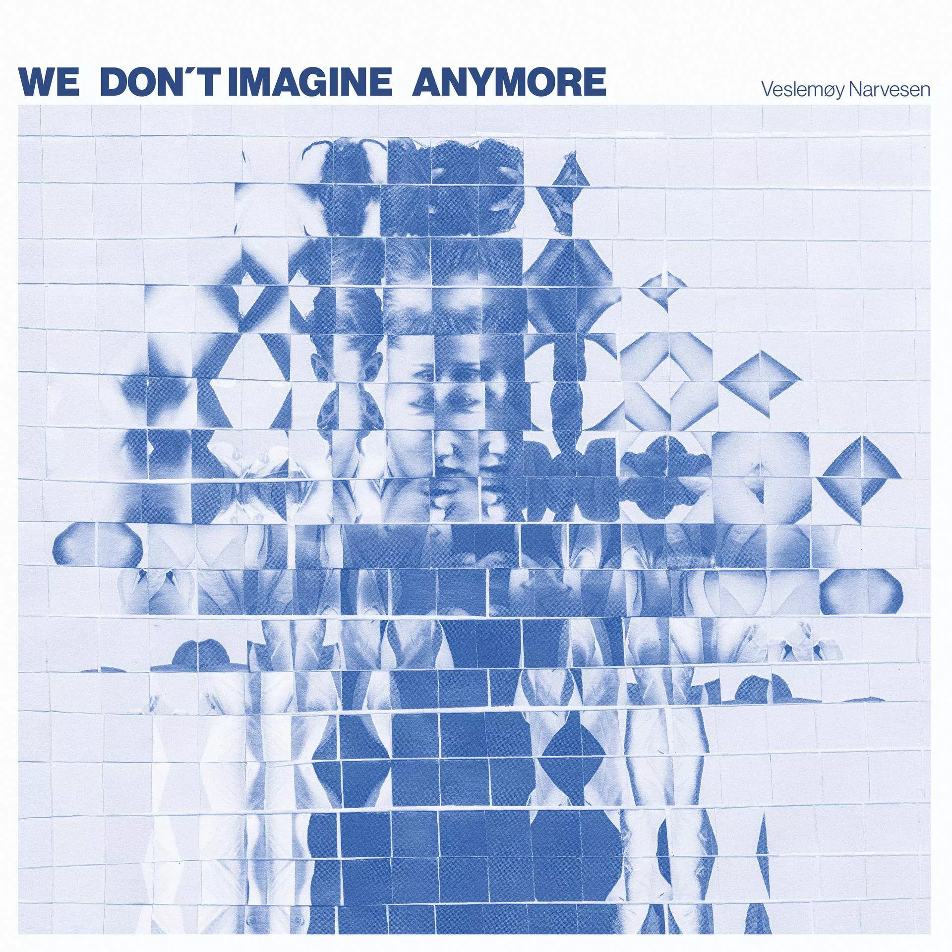 We Don't Imagine Anymore - Veslemøy Narvesen