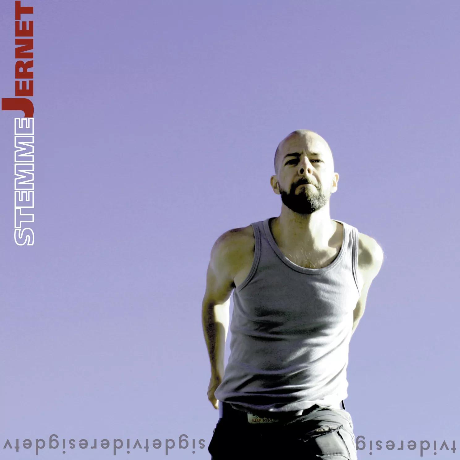 sigdetvidere - Stemmejernet