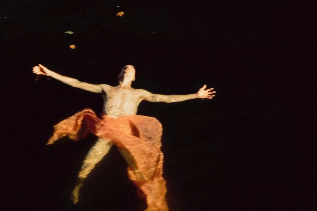 The Destroyer - 1 - TR/ST