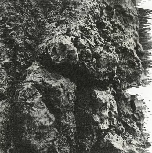 All Colours Retract - Offernat