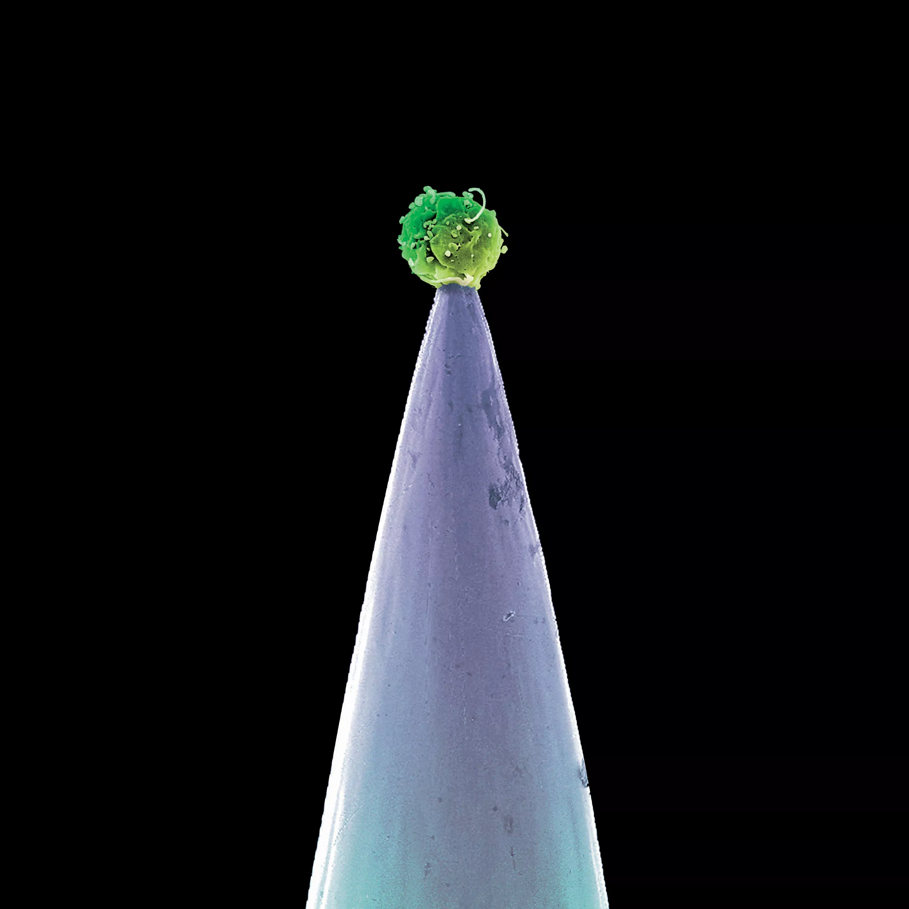 New Blood - Peter Gabriel