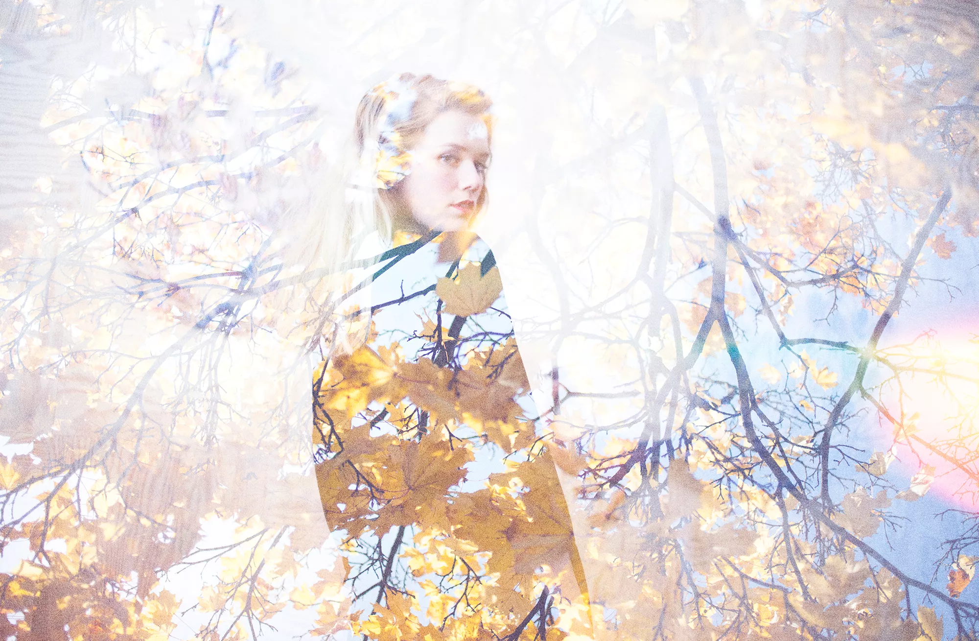 Hitvarsel: Anana - Island