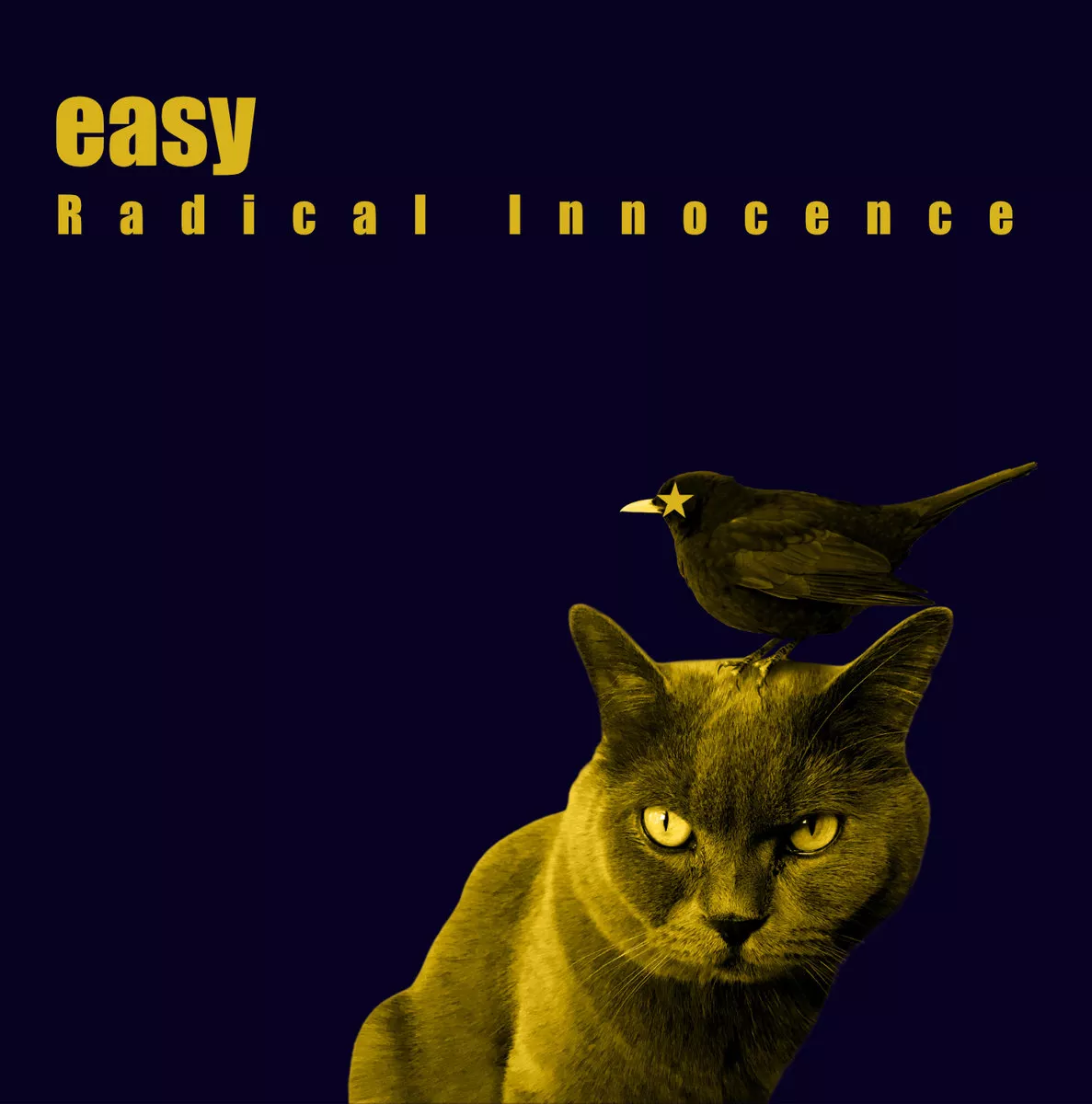 Radical Innocence - Easy