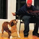 Limp Bizkit-frontmanden udtaler sig om bruddet med Wes Borland