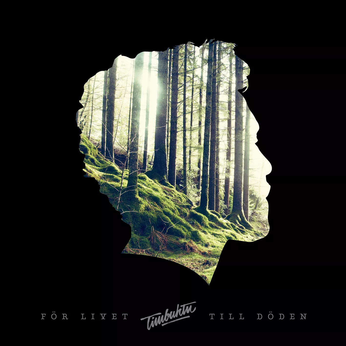 Så bra är Timbuktus nya album