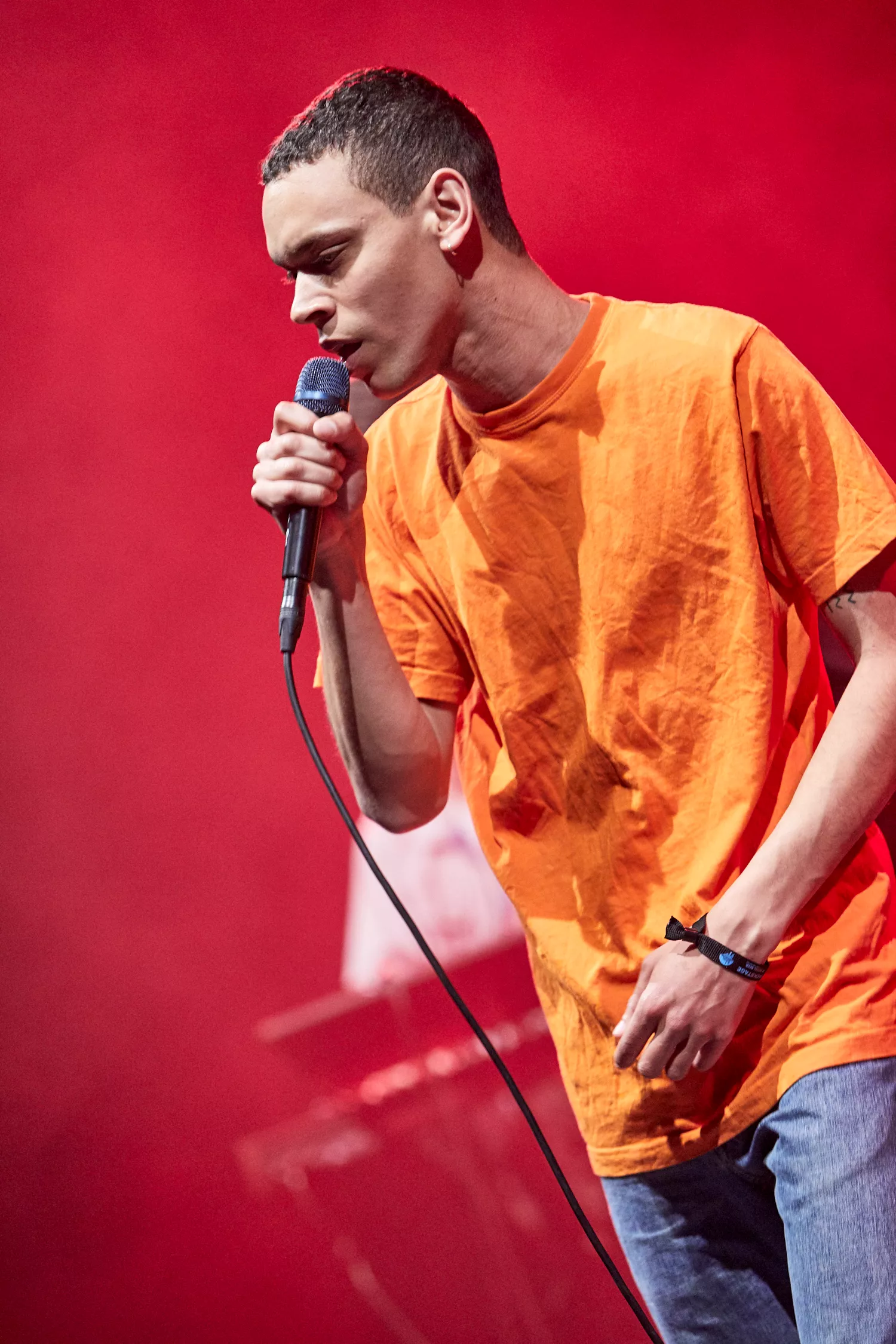Liss og andre markante musikere optræder til Folkets Klimamarch