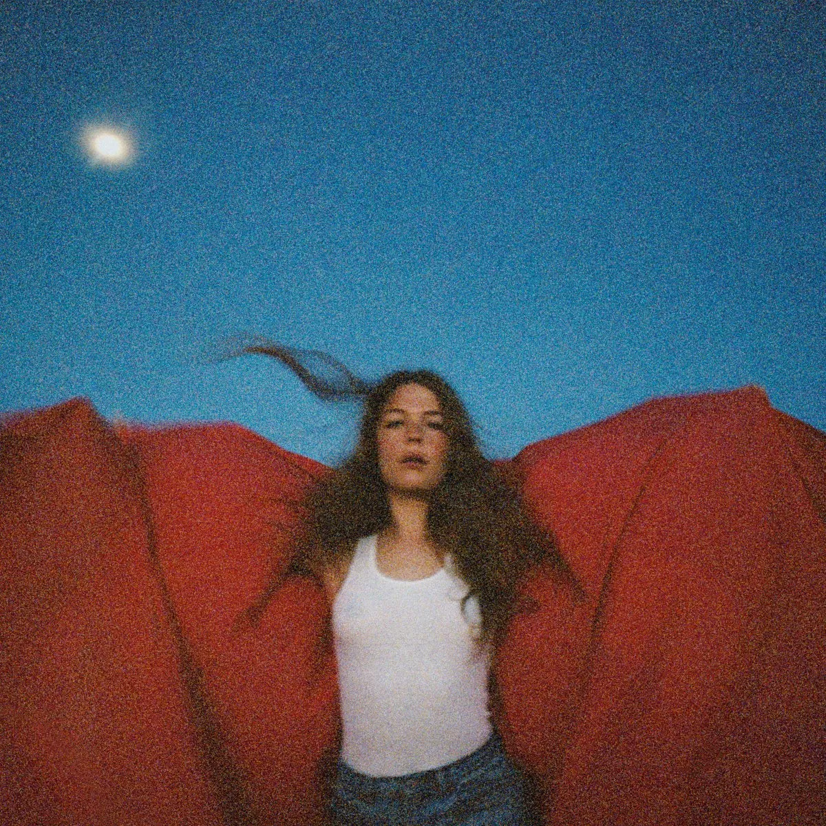 Heard It in a Past Life - Maggie Rogers 
