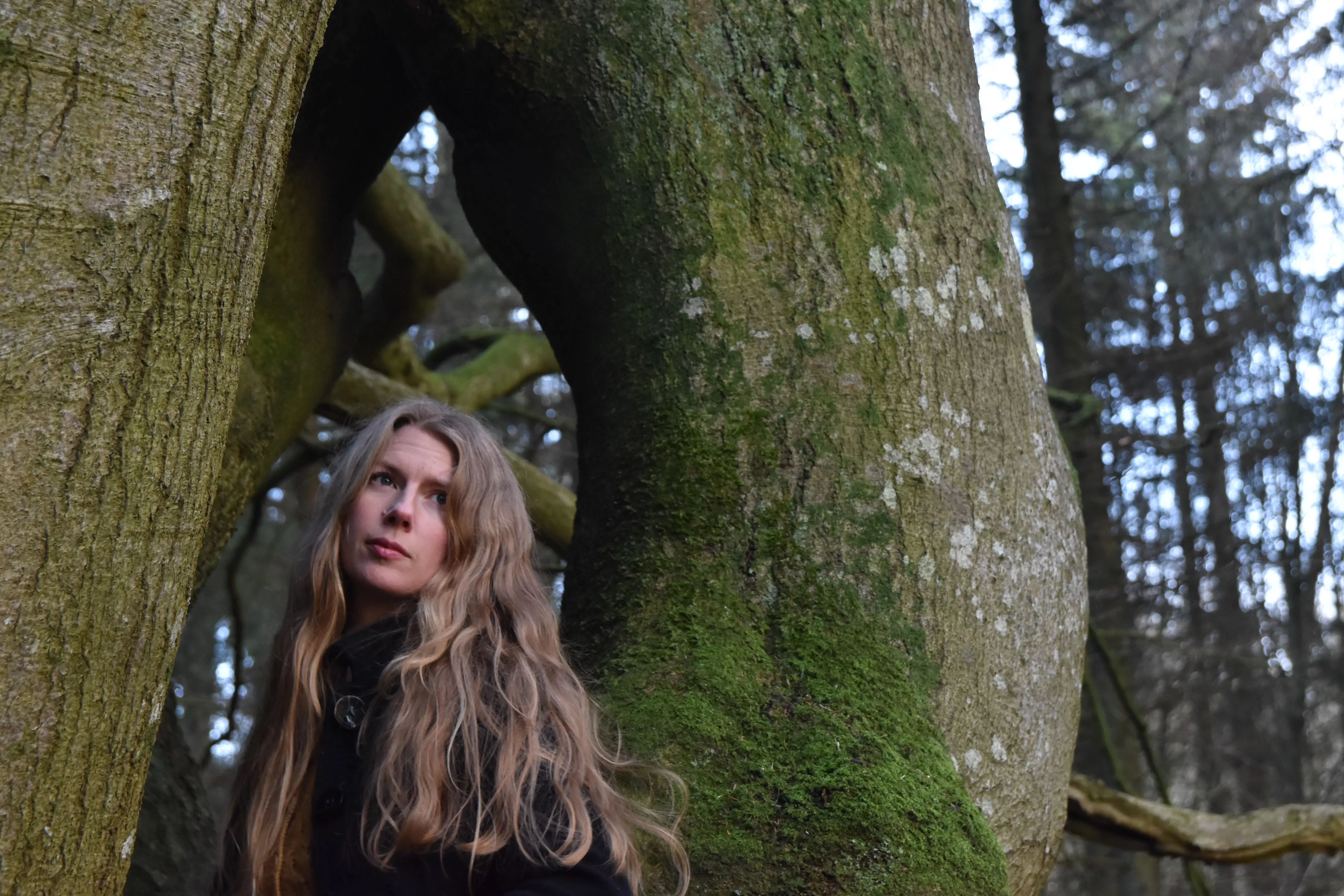 Solidt debutalbum fra Silkeborgskovene