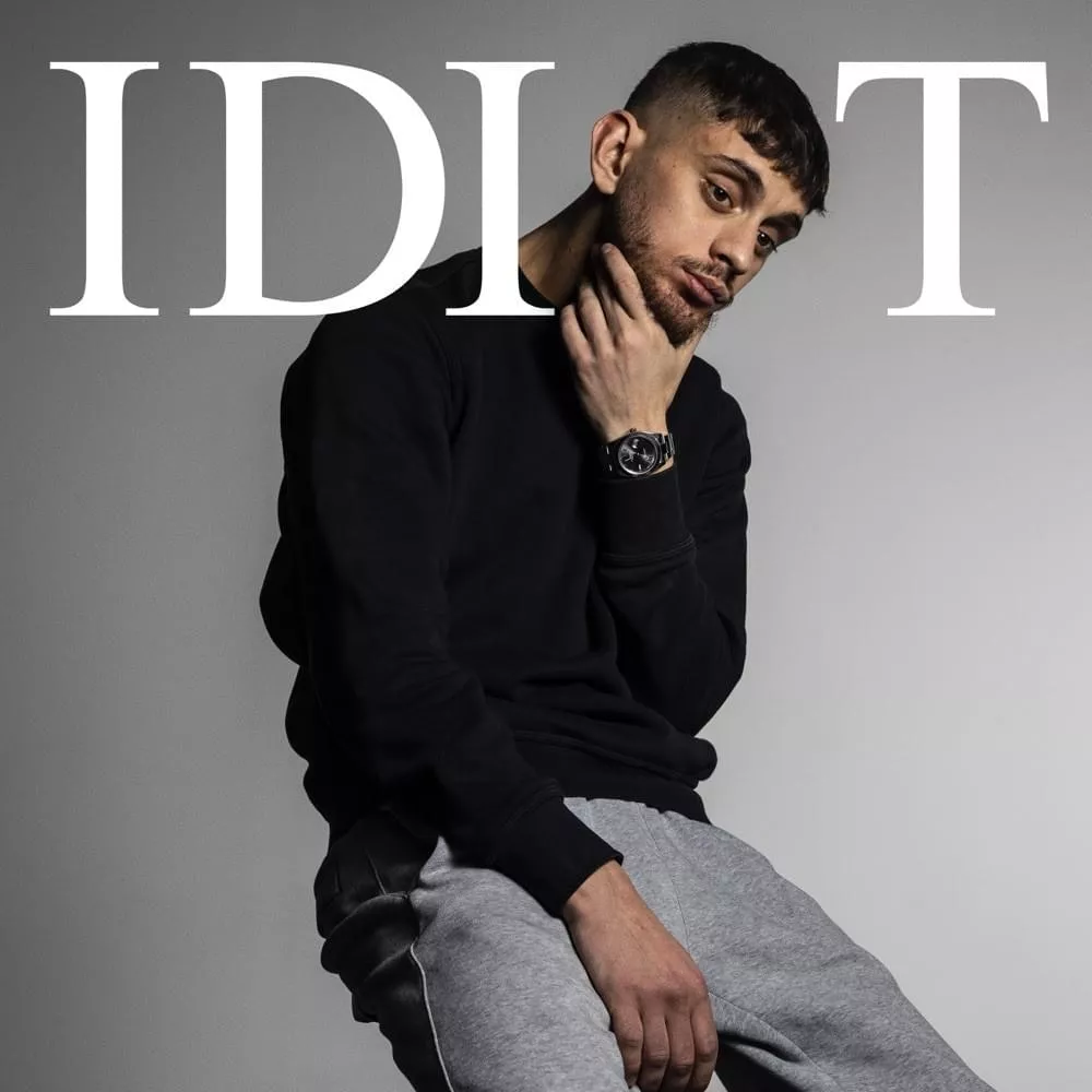 IDIOT - Artigeardit