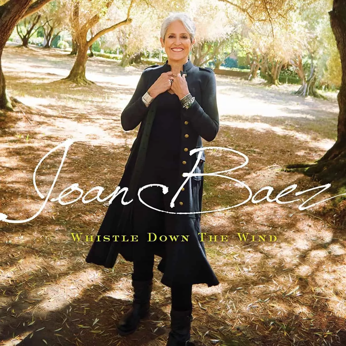 Whistle Down The Wind - Joan Baez