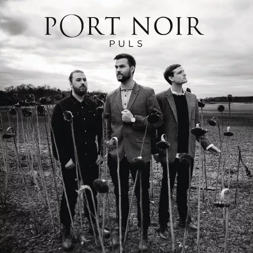 Puls - Port Noir
