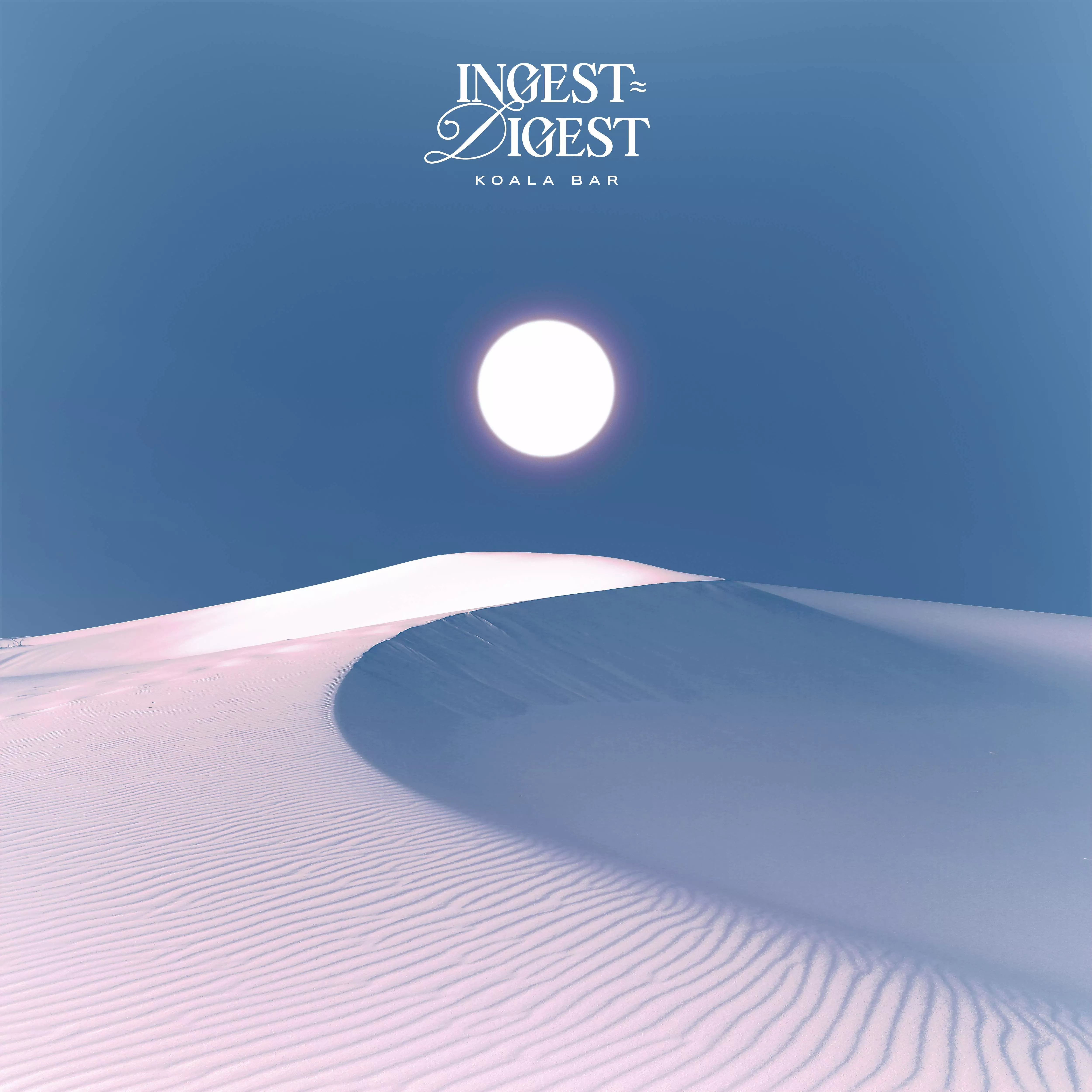 Ingest ≈ Digest - Koala Bar