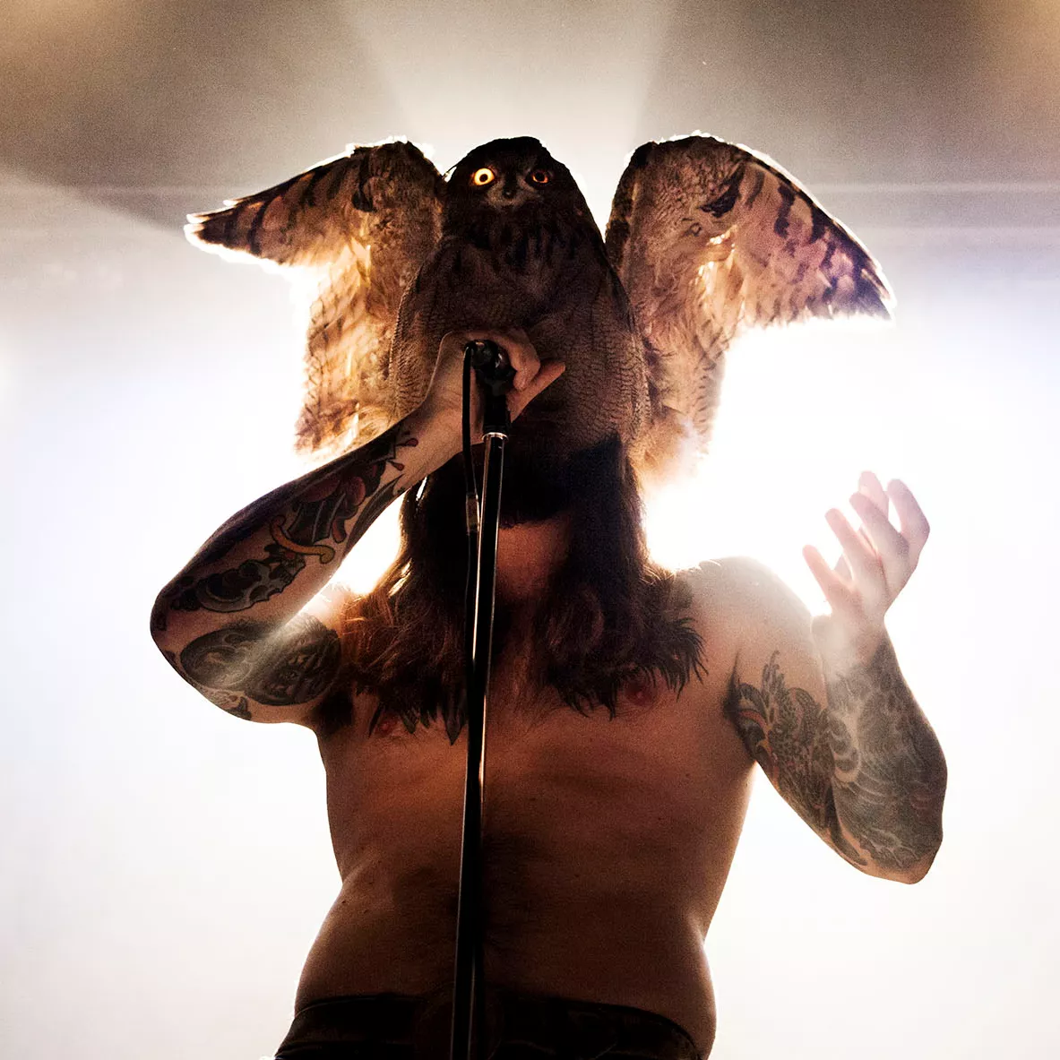 Få dit bedste musikbillede på udstilling