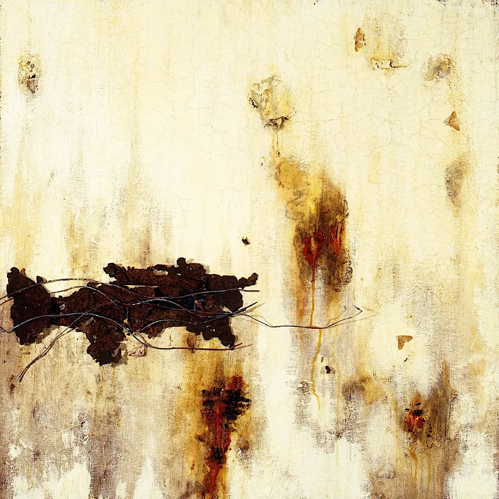 The Downward Spiral  - Nine Inch Nails