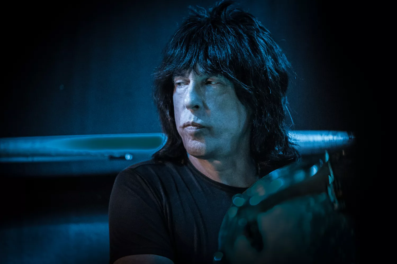 Ramones-ikon till svensk festival