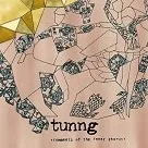 Tunng til Roskilde Festival?