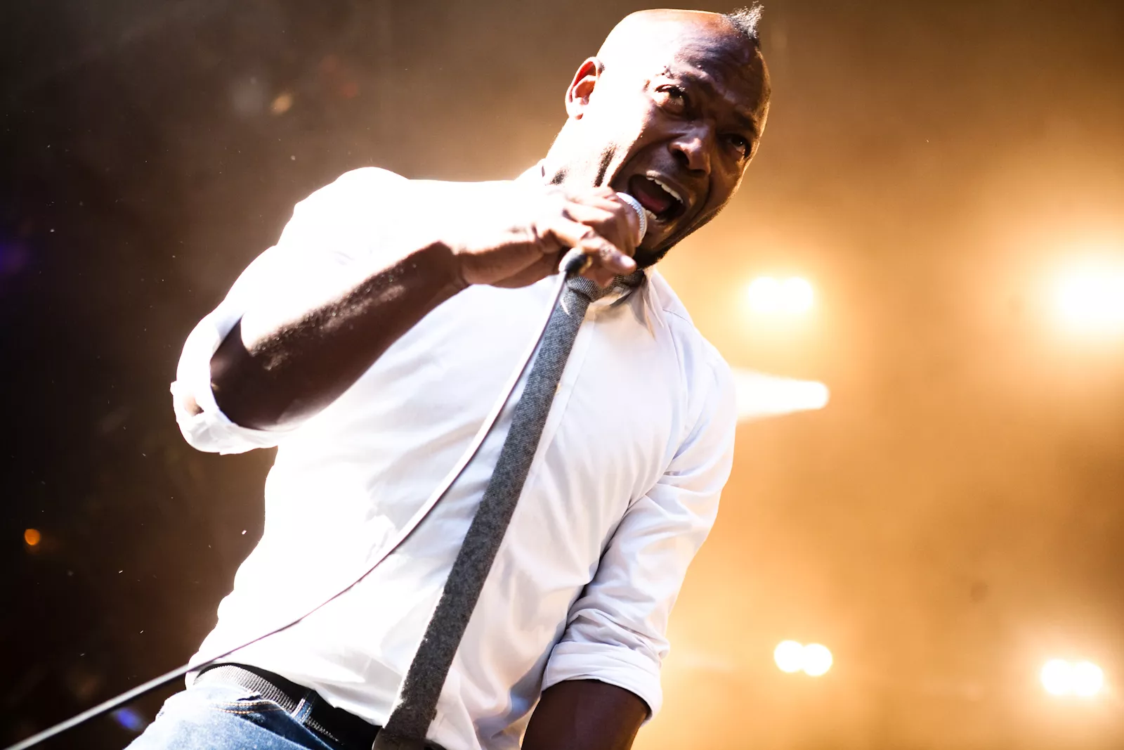 The Heavy : Bøgescenerne, Danmarks Smukkeste Festival