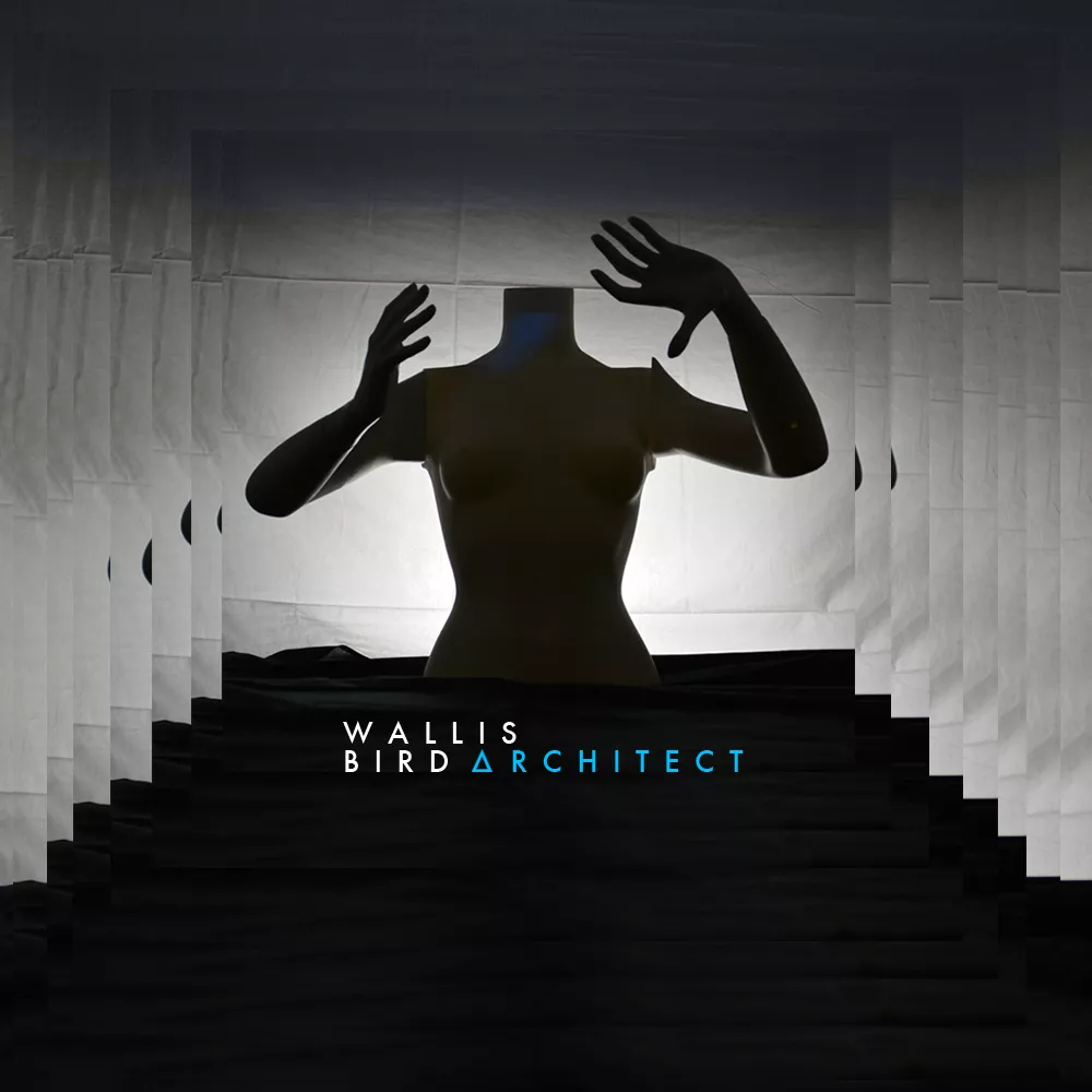 Architect - Wallis Bird