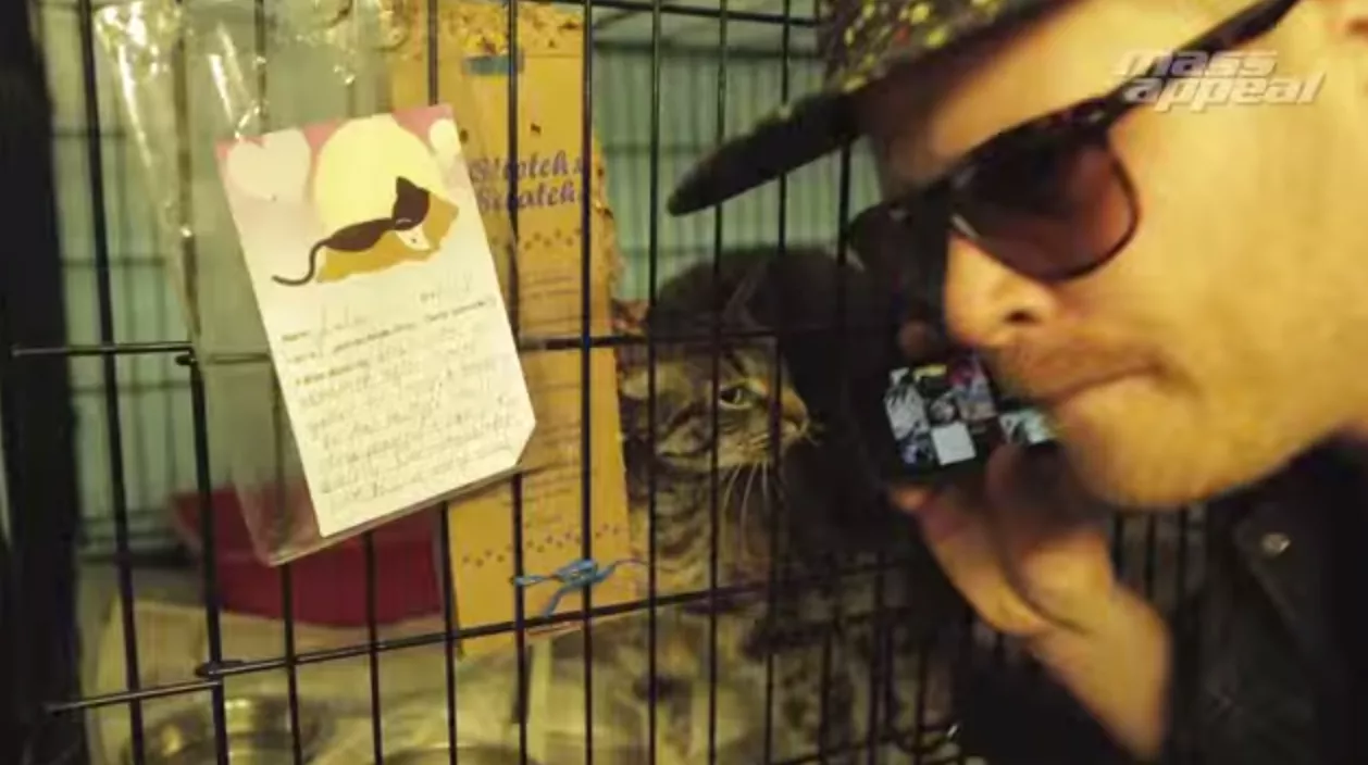 Se rappare hålla i katt-casting