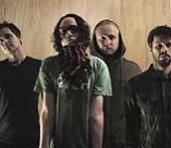 The Fashion er tilbage