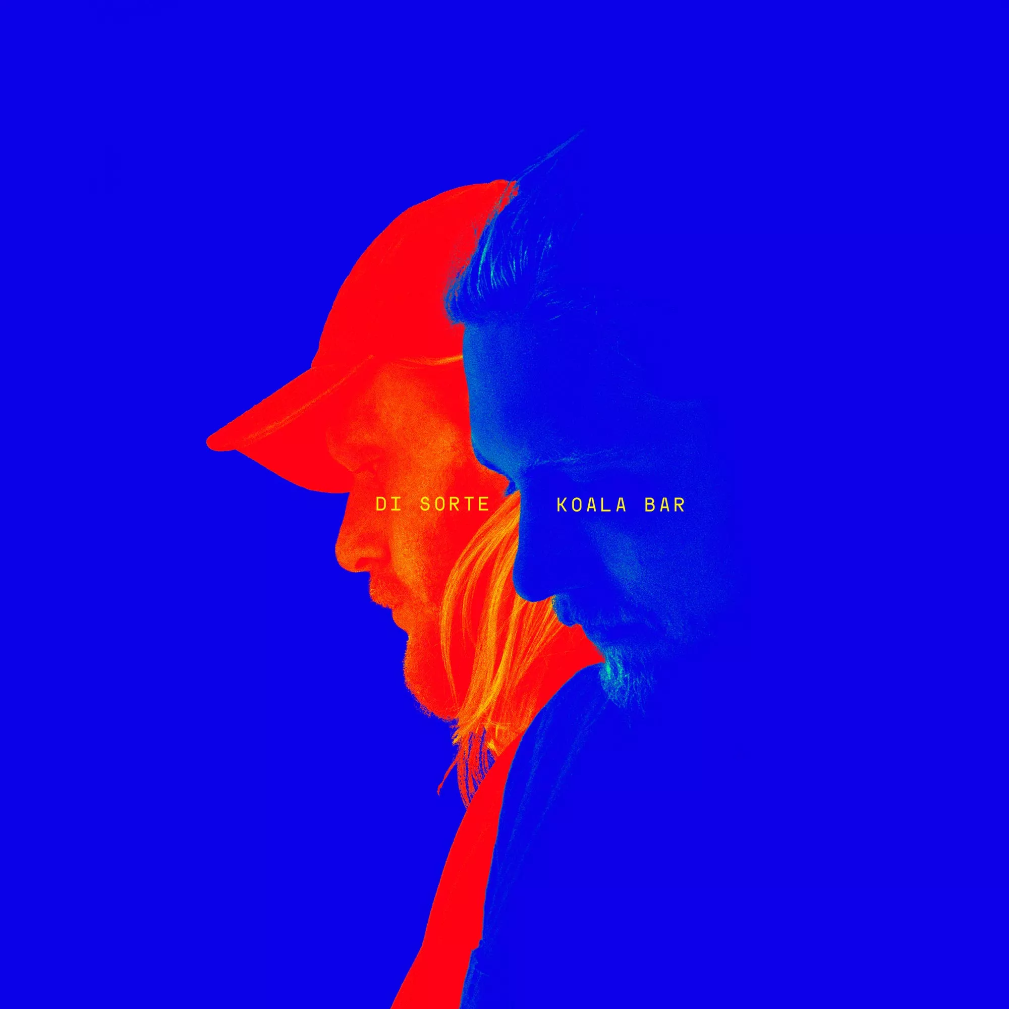Di Sorte - Koala Bar