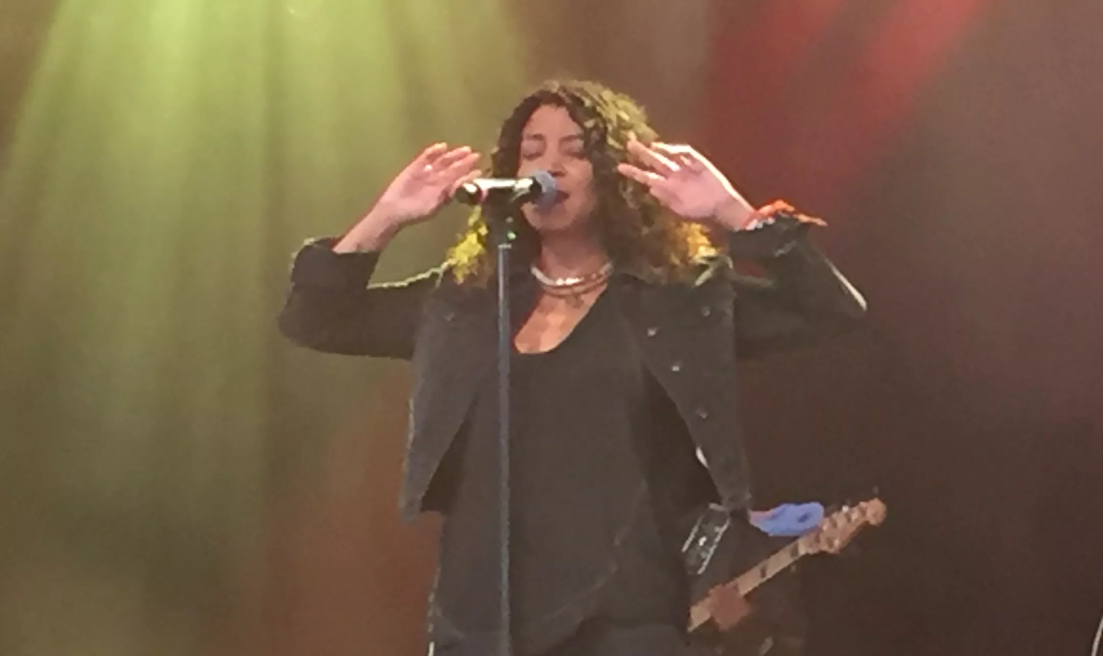 Roskilde Festival, Avalon - Digable Planets