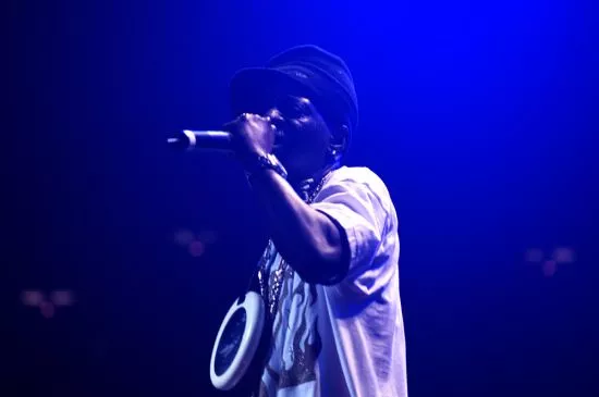 Public Enemy sænker forventningerne for fan-finansieret album 