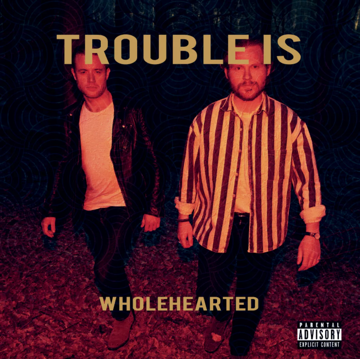 Wholehearted - Trouble Is