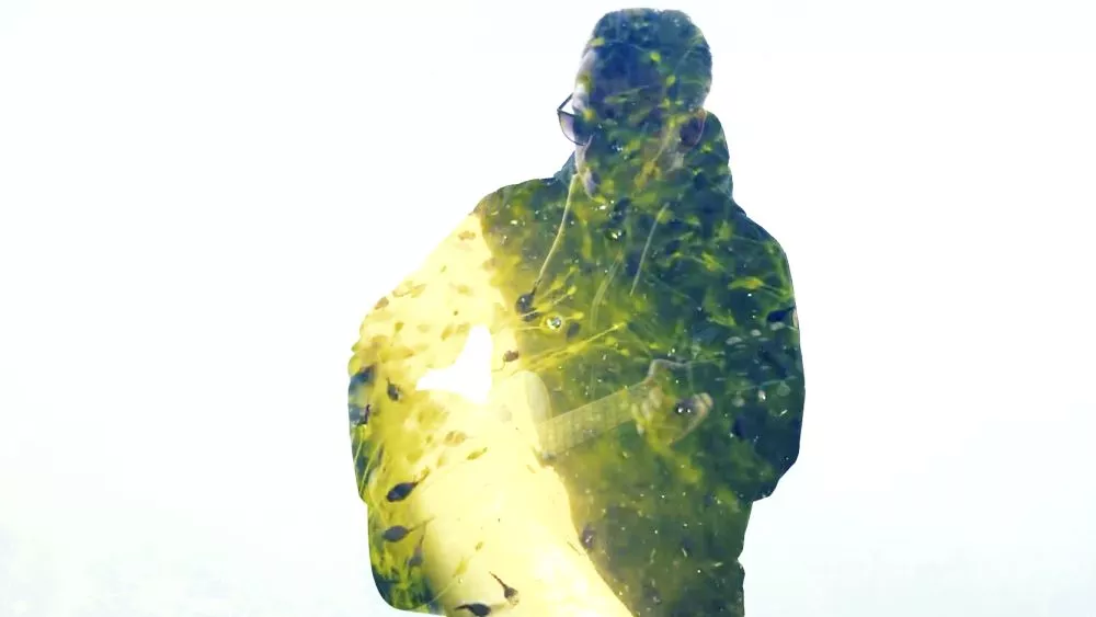 Jorden rundt på 11 sange