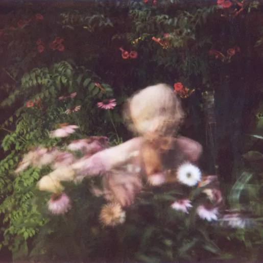 Late Night Swimmers - Whales & This Lake