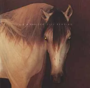 City Reading (Tre Storie Western) - Air+Baricco