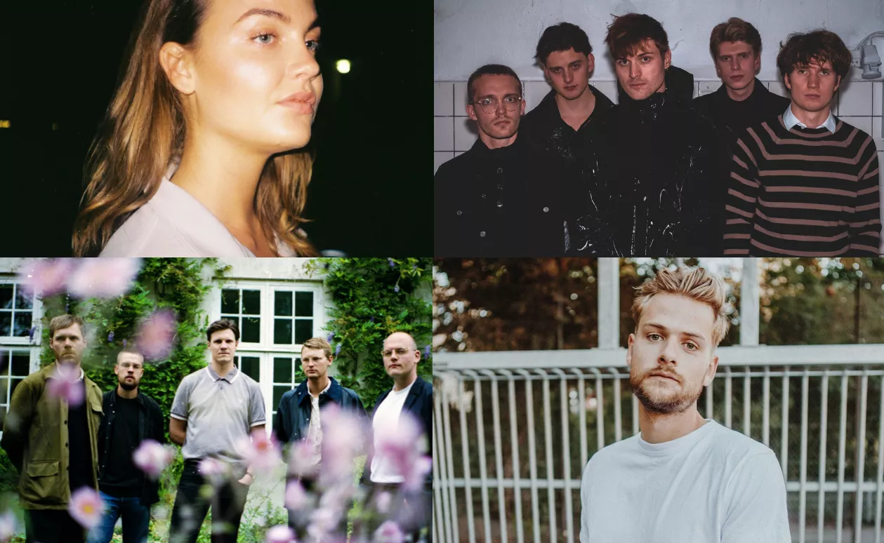 HOLD ØJE MED: Fire favoritter fra vækstlaget